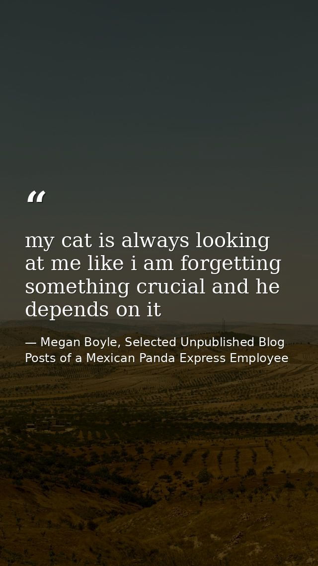 my cat is always looking at me like i am forgetting something crucial and he depends on it — Megan Boyle, Selected Unpublished Blog Posts of a Mexican Panda Express Employee