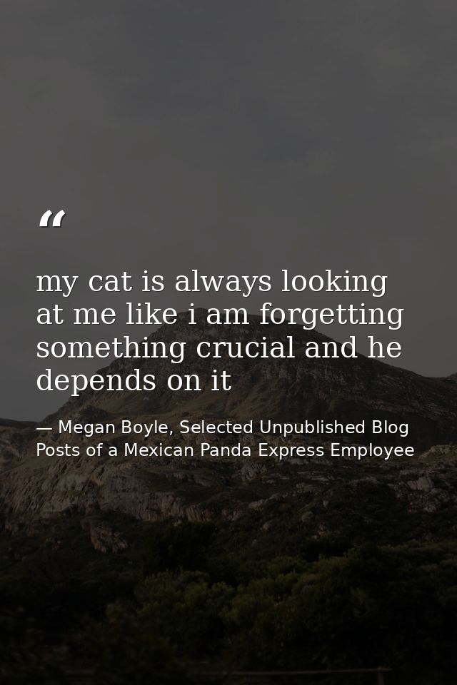 my cat is always looking at me like i am forgetting something crucial and he depends on it — Megan Boyle, Selected Unpublished Blog Posts of a Mexican Panda Express Employee