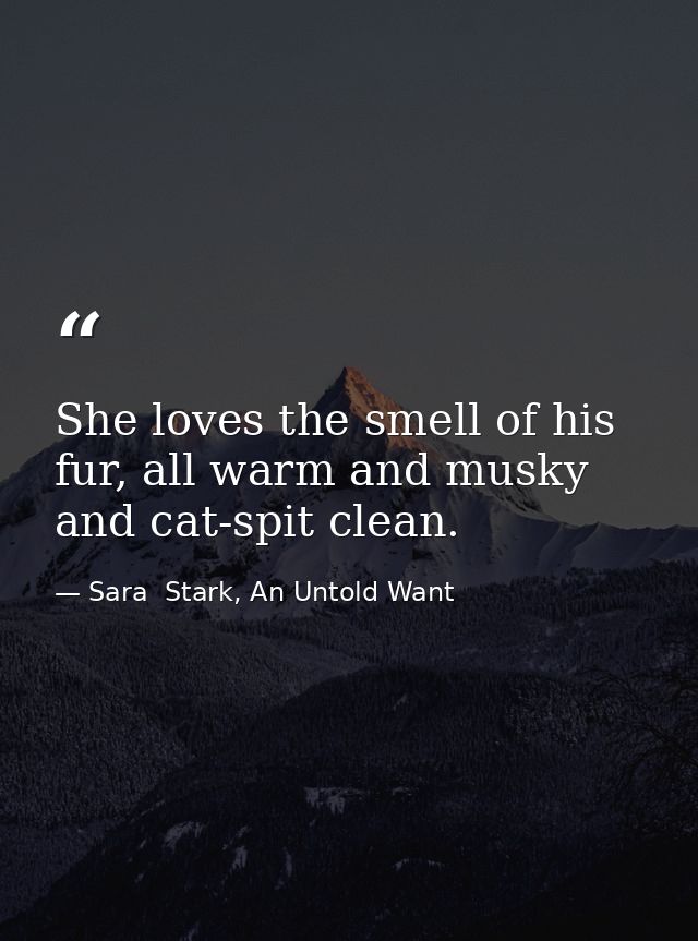 She loves the smell of his fur, all warm and musky and cat-spit clean. — Sara  Stark, An Untold Want