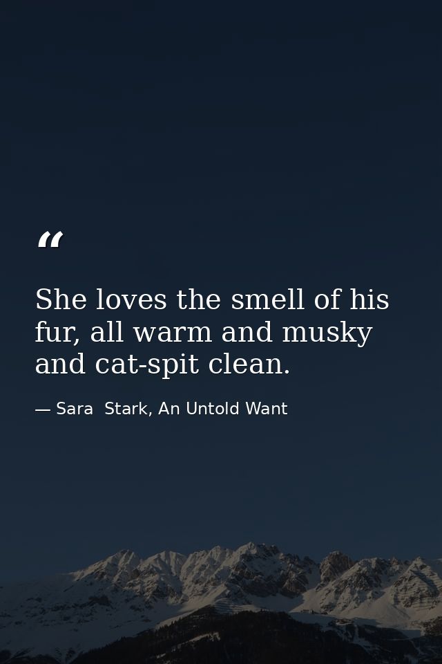 She loves the smell of his fur, all warm and musky and cat-spit clean. — Sara  Stark, An Untold Want