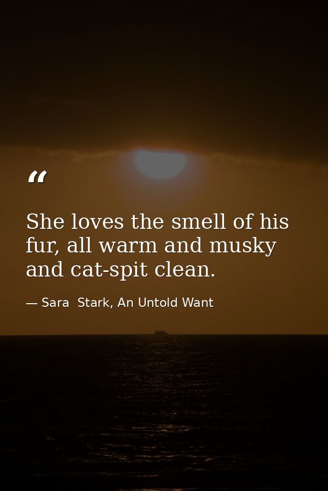 She loves the smell of his fur, all warm and musky and cat-spit clean. — Sara  Stark, An Untold Want