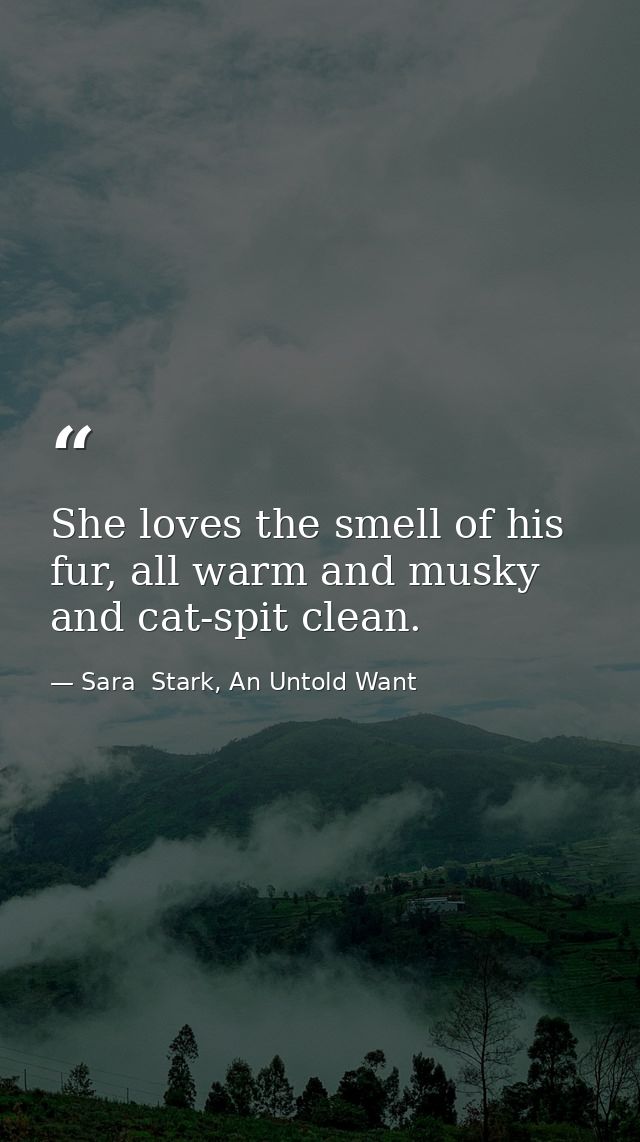 She loves the smell of his fur, all warm and musky and cat-spit clean. — Sara  Stark, An Untold Want
