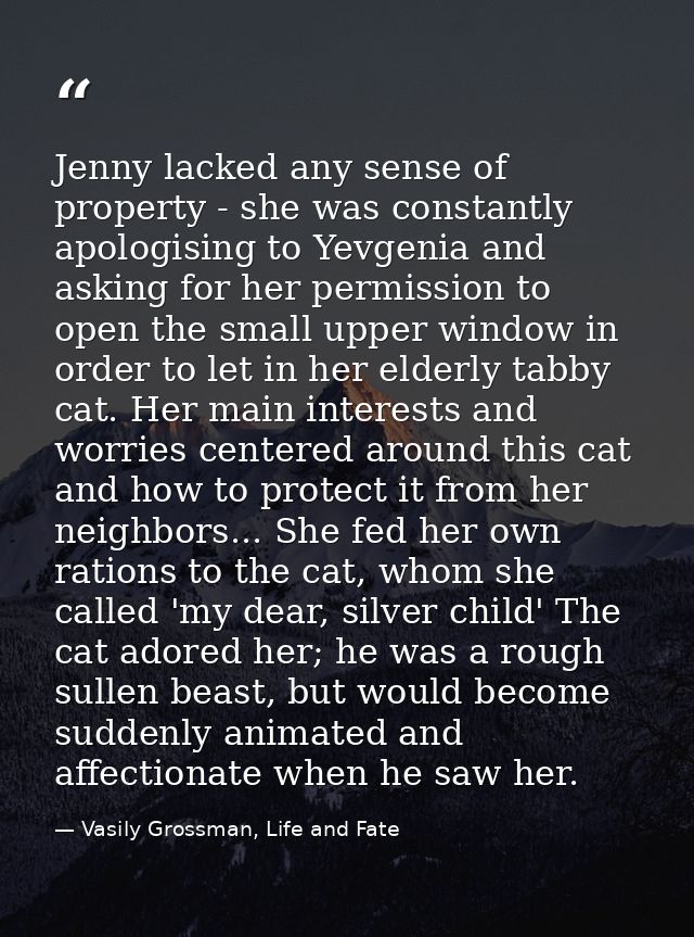 Jenny lacked any sense of property - she was constantly apologising to Yevgenia and asking for her permission to open th — Vasily Grossman, Life and Fate