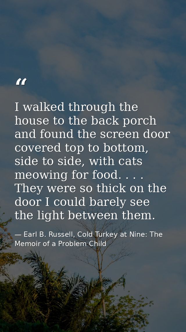 I walked through the house to the back porch and found the screen door covered top to bottom, side to side, with cats me — Earl B. Russell, Cold Turkey at Nine: The Memoir of a Problem Child