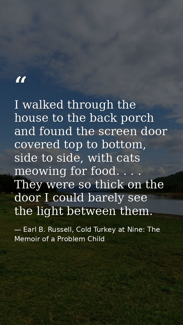 I walked through the house to the back porch and found the screen door covered top to bottom, side to side, with cats me — Earl B. Russell, Cold Turkey at Nine: The Memoir of a Problem Child