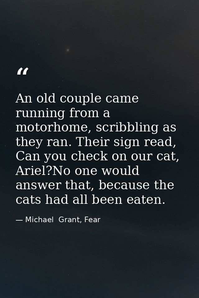 An old couple came running from a motorhome, scribbling as they ran. Their sign read, Can you check on our cat, Ariel?No — Michael  Grant, Fear