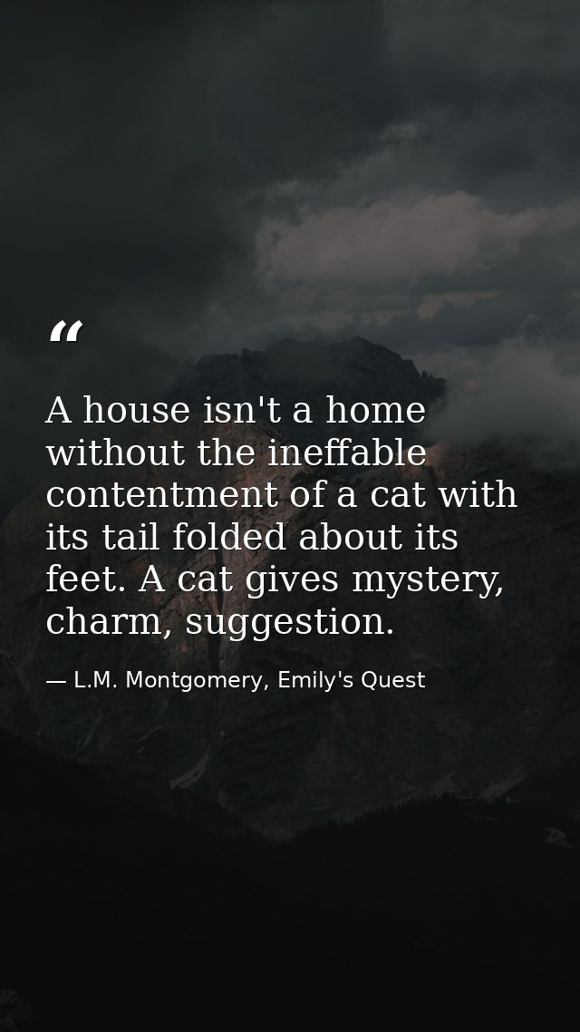 A house isn't a home without the ineffable contentment of a cat with its tail folded about its feet. A cat gives mystery — L.M. Montgomery, Emily's Quest