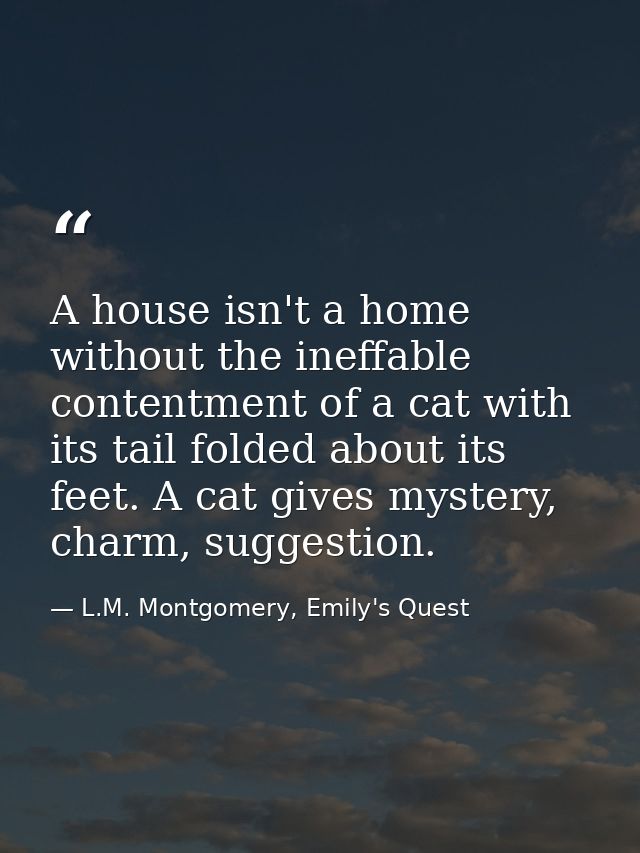 A house isn't a home without the ineffable contentment of a cat with its tail folded about its feet. A cat gives mystery — L.M. Montgomery, Emily's Quest