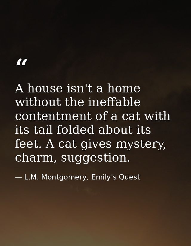 A house isn't a home without the ineffable contentment of a cat with its tail folded about its feet. A cat gives mystery — L.M. Montgomery, Emily's Quest