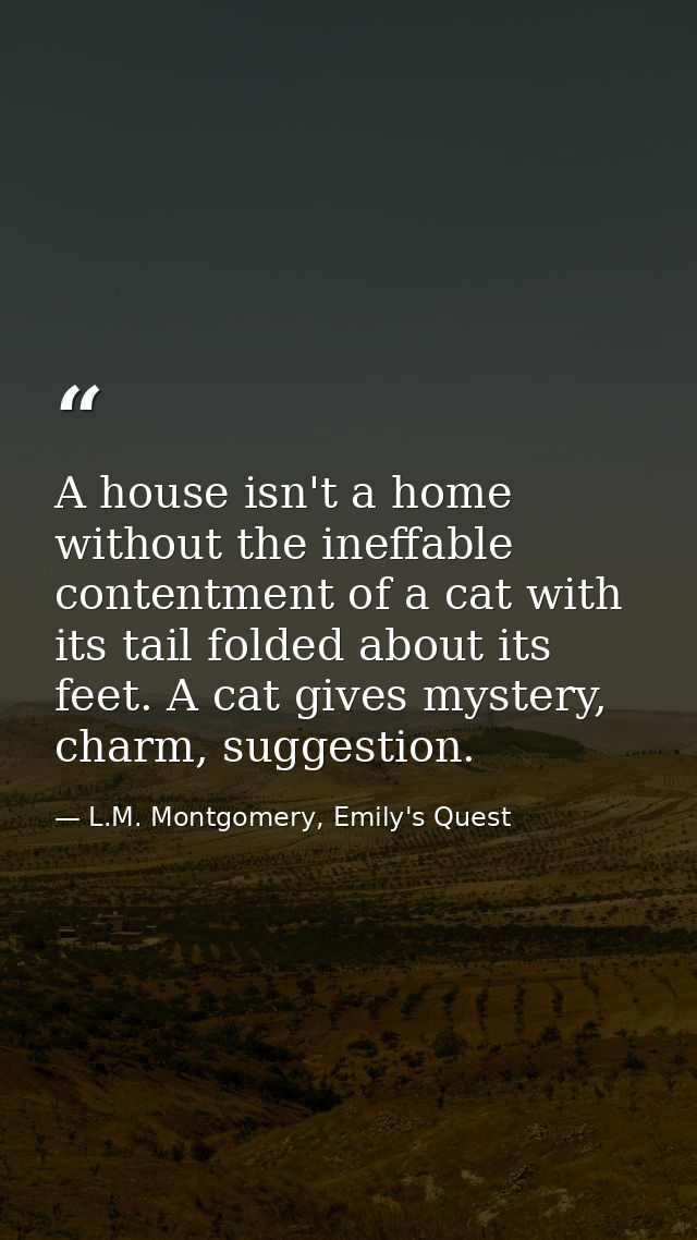 A house isn't a home without the ineffable contentment of a cat with its tail folded about its feet. A cat gives mystery — L.M. Montgomery, Emily's Quest