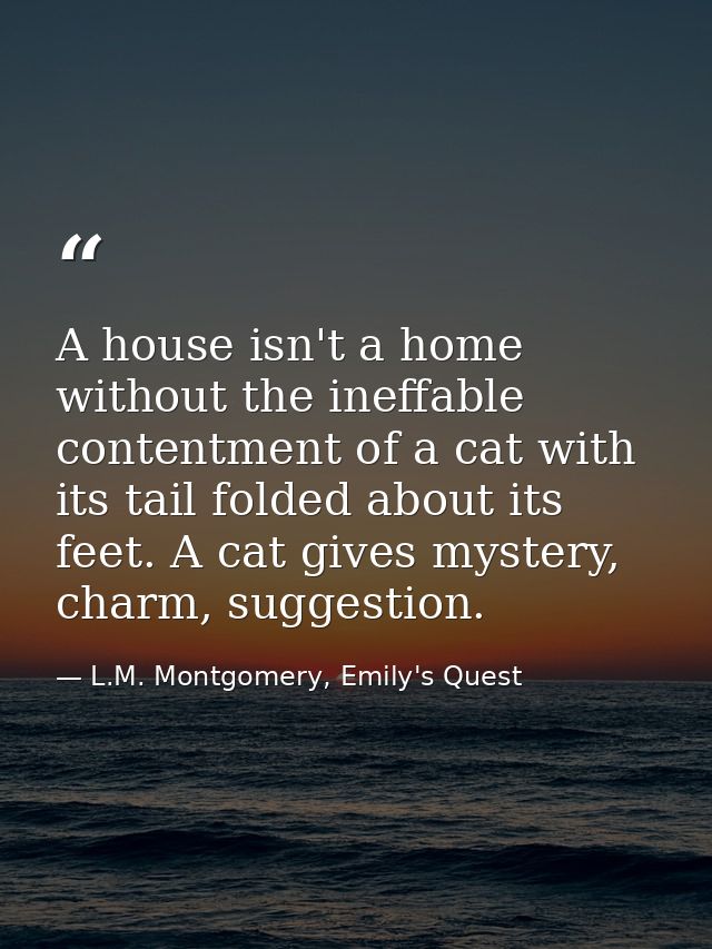 A house isn't a home without the ineffable contentment of a cat with its tail folded about its feet. A cat gives mystery — L.M. Montgomery, Emily's Quest