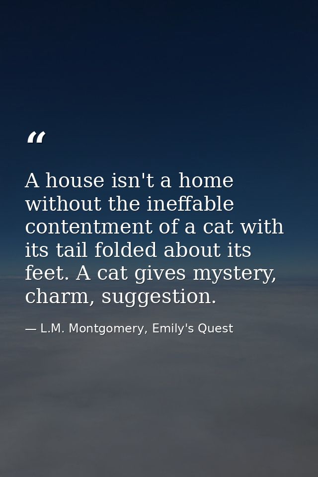 A house isn't a home without the ineffable contentment of a cat with its tail folded about its feet. A cat gives mystery — L.M. Montgomery, Emily's Quest