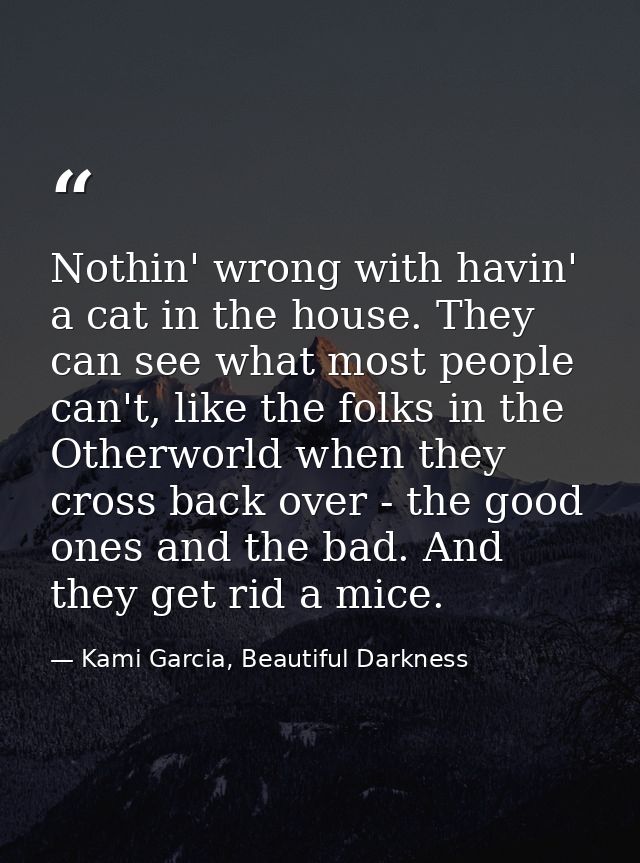 Nothin' wrong with havin' a cat in the house. They can see what most people can't, like the folks in the Otherworld when — Kami Garcia, Beautiful Darkness