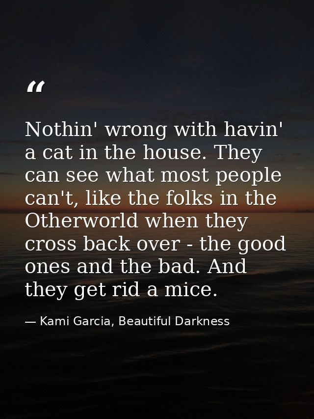 Nothin' wrong with havin' a cat in the house. They can see what most people can't, like the folks in the Otherworld when — Kami Garcia, Beautiful Darkness