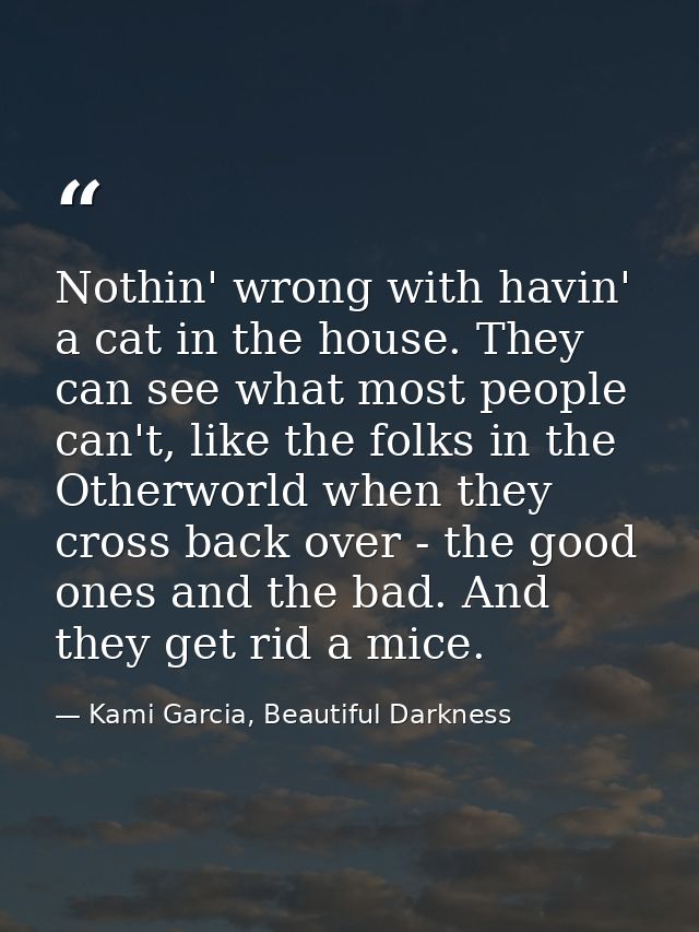 Nothin' wrong with havin' a cat in the house. They can see what most people can't, like the folks in the Otherworld when — Kami Garcia, Beautiful Darkness