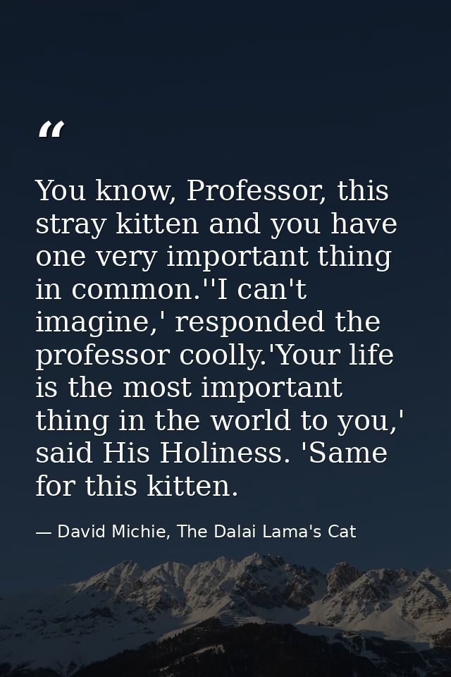 You know, Professor, this stray kitten and you have one very important thing in common.''I can't imagine,' responded the — David Michie, The Dalai Lama's Cat