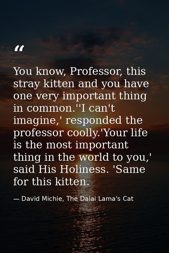 You know, Professor, this stray kitten and you have one very important thing in common.''I can't imagine,' responded the — David Michie, The Dalai Lama's Cat