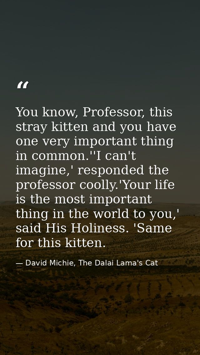 You know, Professor, this stray kitten and you have one very important thing in common.''I can't imagine,' responded the — David Michie, The Dalai Lama's Cat