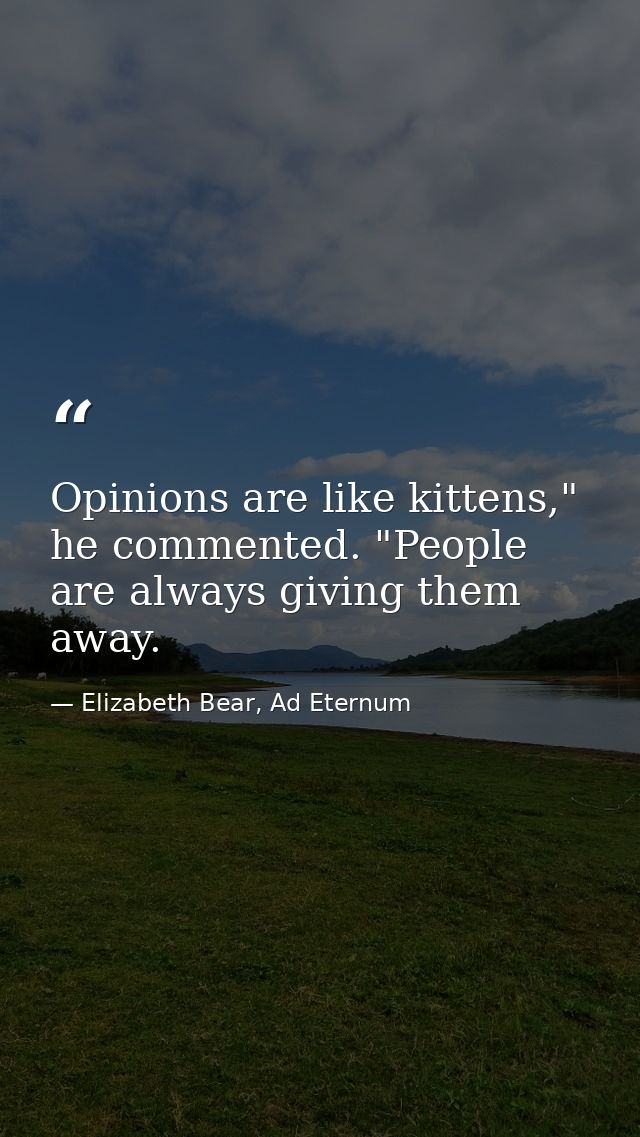 Opinions are like kittens," he commented. "People are always giving them away. — Elizabeth Bear, Ad Eternum