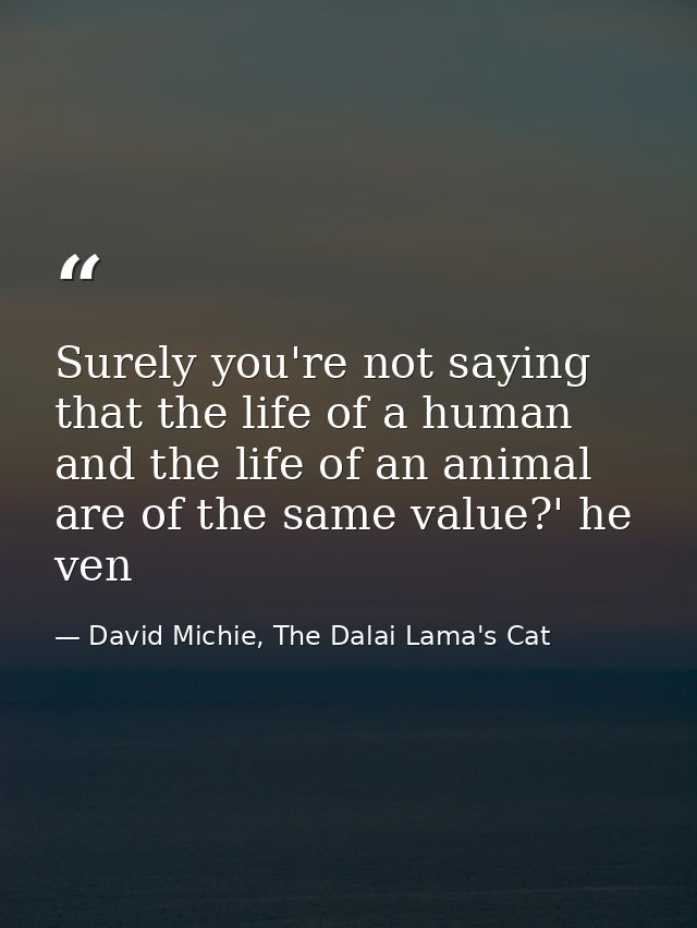 Surely you're not saying that the life of a human and the life of an animal are of the same value?' he ven — David Michie, The Dalai Lama's Cat