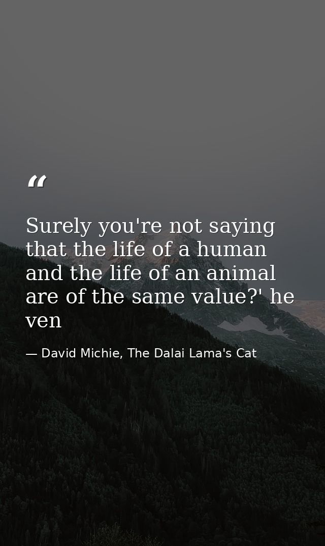 Surely you're not saying that the life of a human and the life of an animal are of the same value?' he ven — David Michie, The Dalai Lama's Cat