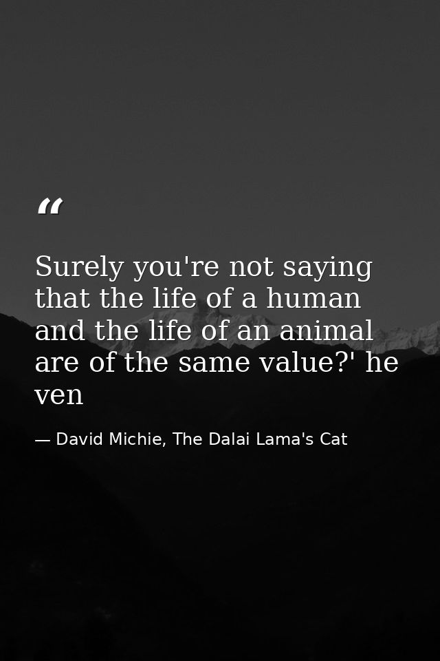 Surely you're not saying that the life of a human and the life of an animal are of the same value?' he ven — David Michie, The Dalai Lama's Cat