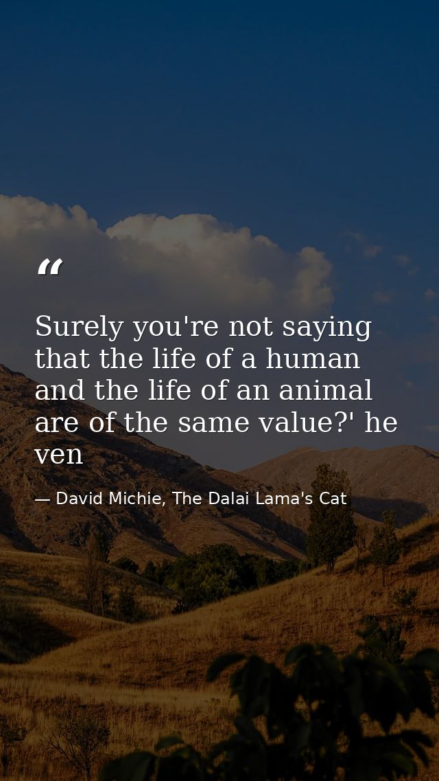 Surely you're not saying that the life of a human and the life of an animal are of the same value?' he ven — David Michie, The Dalai Lama's Cat
