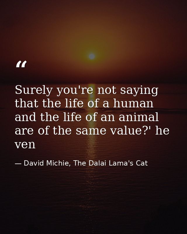 Surely you're not saying that the life of a human and the life of an animal are of the same value?' he ven — David Michie, The Dalai Lama's Cat