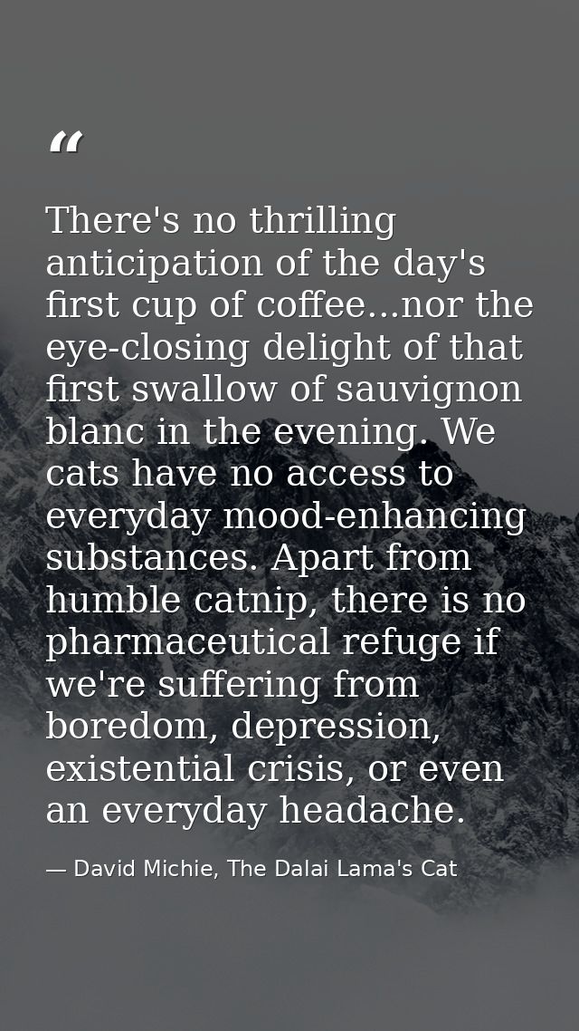 There's no thrilling anticipation of the day's first cup of coffee...nor the eye-closing delight of that first swallow o — David Michie, The Dalai Lama's Cat