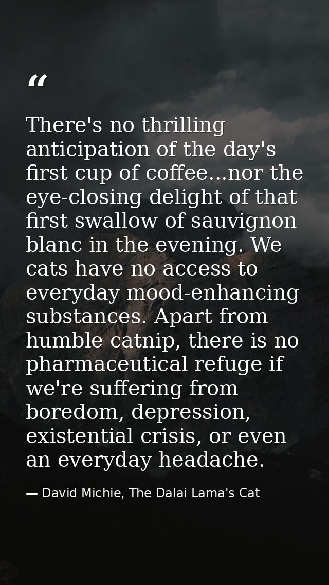 There's no thrilling anticipation of the day's first cup of coffee...nor the eye-closing delight of that first swallow o — David Michie, The Dalai Lama's Cat