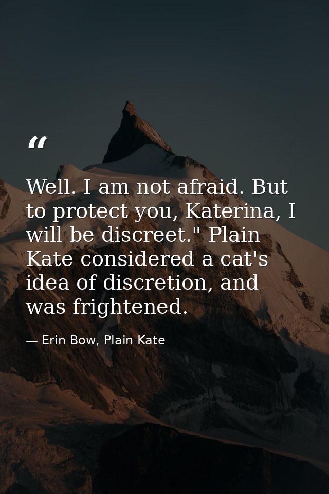 Well. I am not afraid. But to protect you, Katerina, I will be discreet." Plain Kate considered a cat's idea of discreti — Erin Bow, Plain Kate