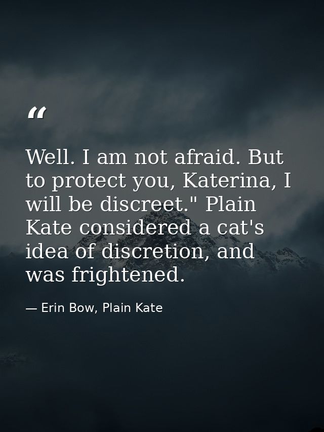 Well. I am not afraid. But to protect you, Katerina, I will be discreet." Plain Kate considered a cat's idea of discreti — Erin Bow, Plain Kate