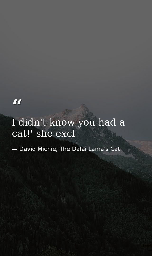 I didn't know you had a cat!' she excl — David Michie, The Dalai Lama's Cat