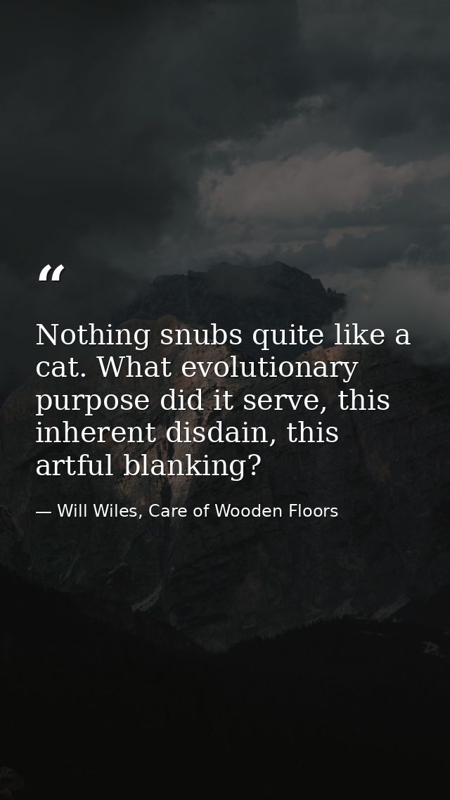 Nothing snubs quite like a cat. What evolutionary purpose did it serve, this inherent disdain, this artful blanking? — Will Wiles, Care of Wooden Floors
