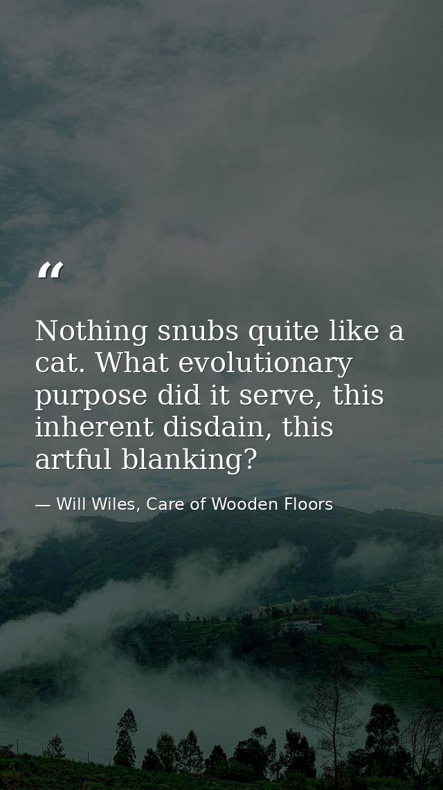Nothing snubs quite like a cat. What evolutionary purpose did it serve, this inherent disdain, this artful blanking? — Will Wiles, Care of Wooden Floors