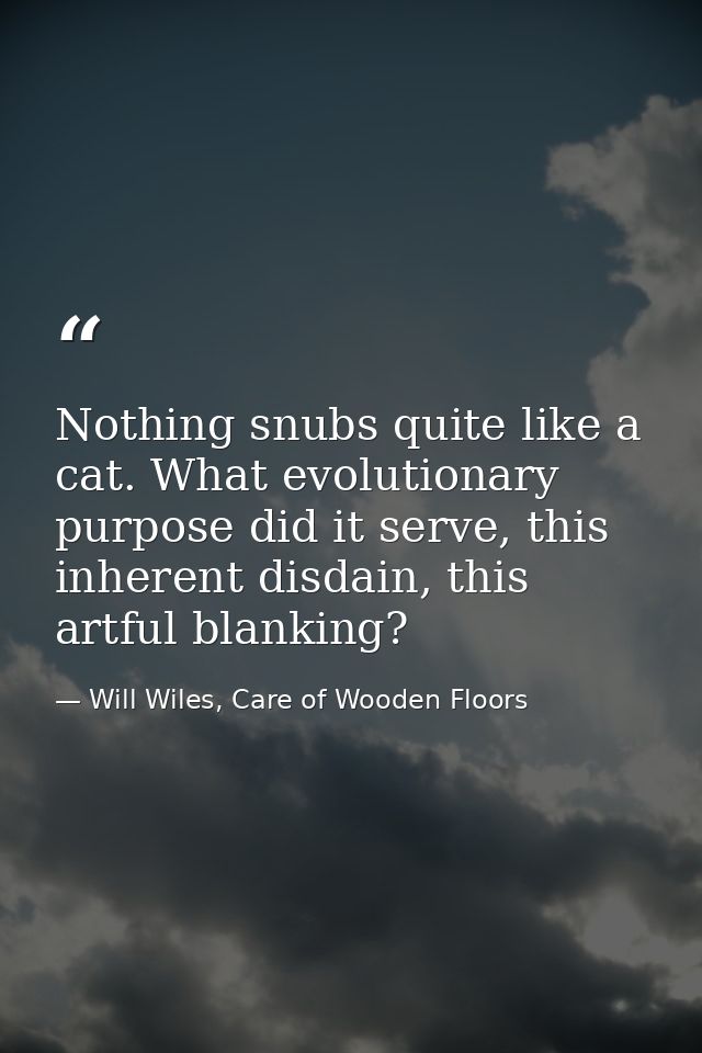 Nothing snubs quite like a cat. What evolutionary purpose did it serve, this inherent disdain, this artful blanking? — Will Wiles, Care of Wooden Floors
