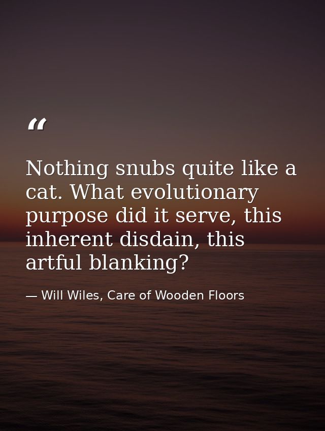 Nothing snubs quite like a cat. What evolutionary purpose did it serve, this inherent disdain, this artful blanking? — Will Wiles, Care of Wooden Floors