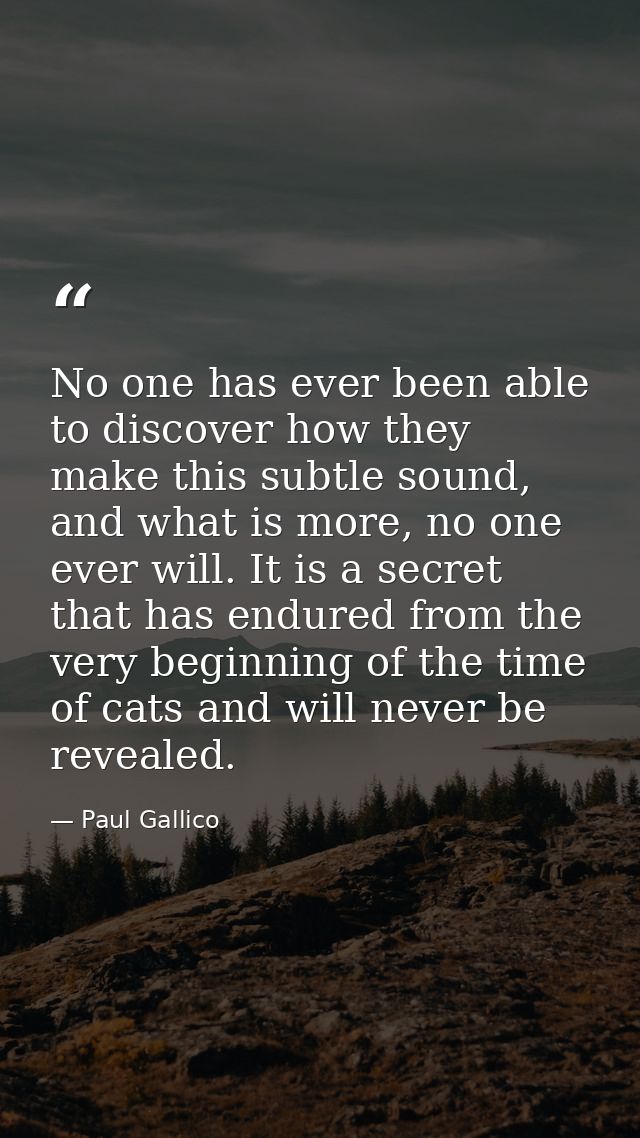 No one has ever been able to discover how they make this subtle sound, and what is more, no one ever will. It is a secre — Paul Gallico