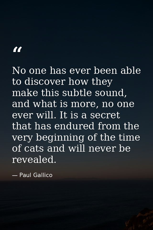 No one has ever been able to discover how they make this subtle sound, and what is more, no one ever will. It is a secre — Paul Gallico