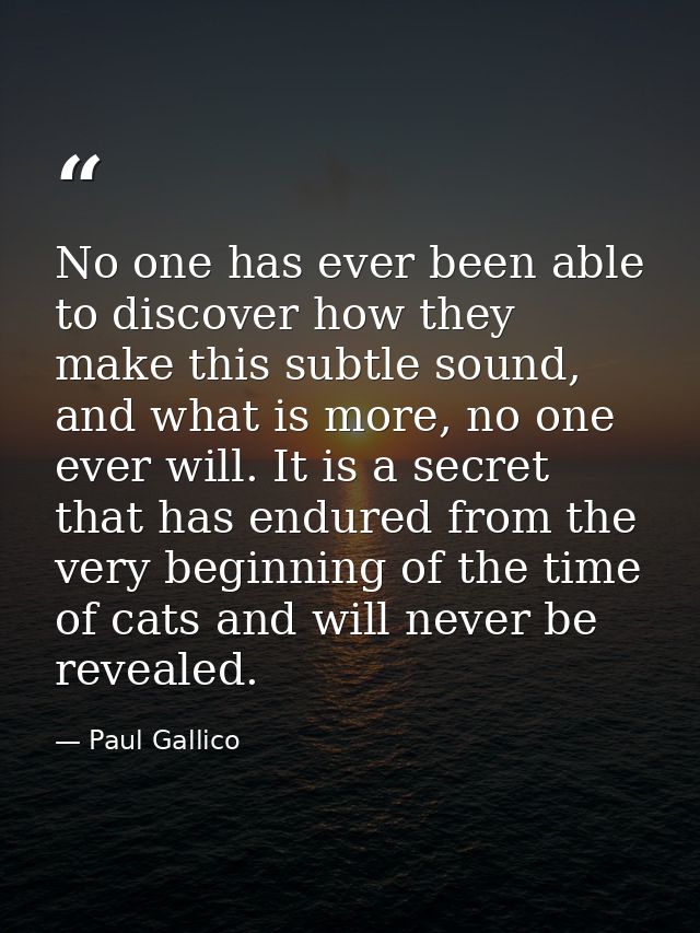 No one has ever been able to discover how they make this subtle sound, and what is more, no one ever will. It is a secre — Paul Gallico