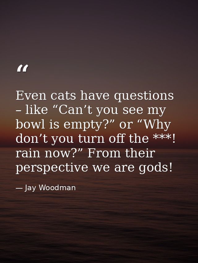 Even cats have questions – like “Can’t you see my bowl is empty?” or “Why don’t you turn off the ***! rain now?” From th — Jay Woodman