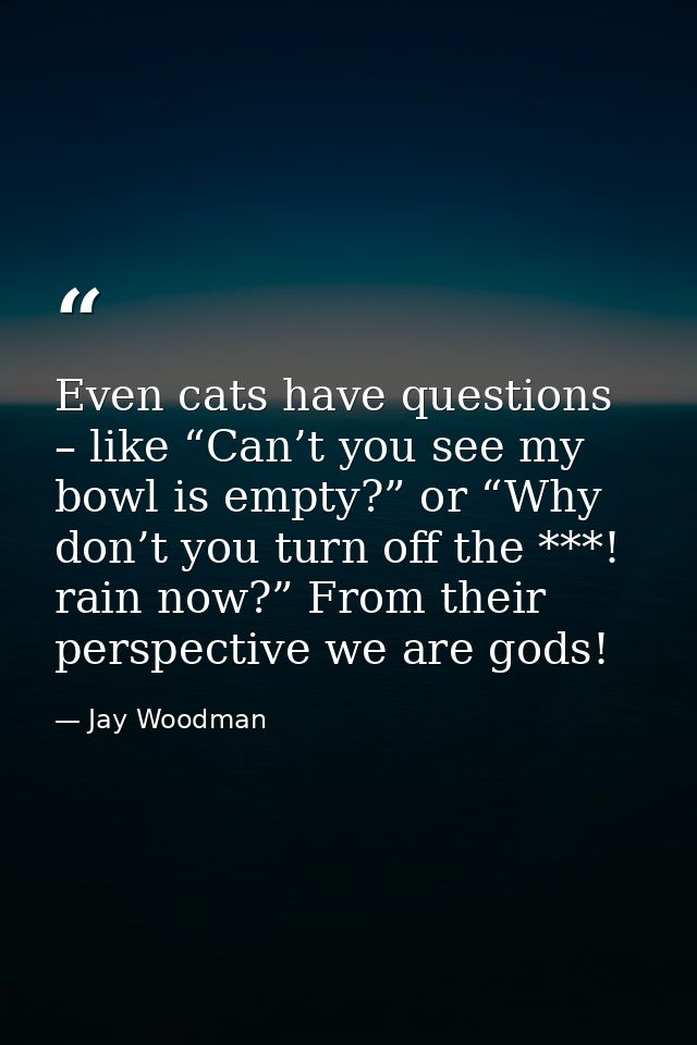 Even cats have questions – like “Can’t you see my bowl is empty?” or “Why don’t you turn off the ***! rain now?” From th — Jay Woodman
