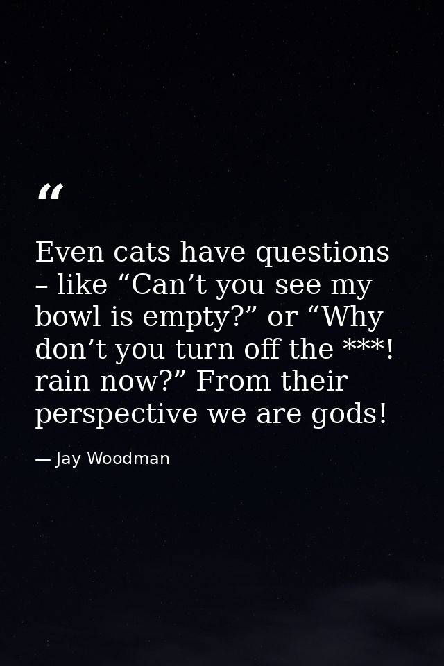 Even cats have questions – like “Can’t you see my bowl is empty?” or “Why don’t you turn off the ***! rain now?” From th — Jay Woodman