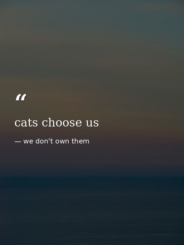 cats choose us — we don't own them