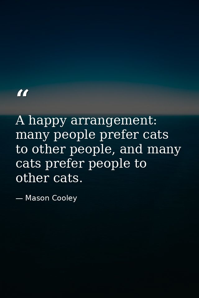 A happy arrangement: many people prefer cats to other people, and many cats prefer people to other cats. — Mason Cooley