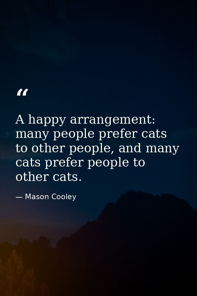 A happy arrangement: many people prefer cats to other people, and many cats prefer people to other cats. — Mason Cooley