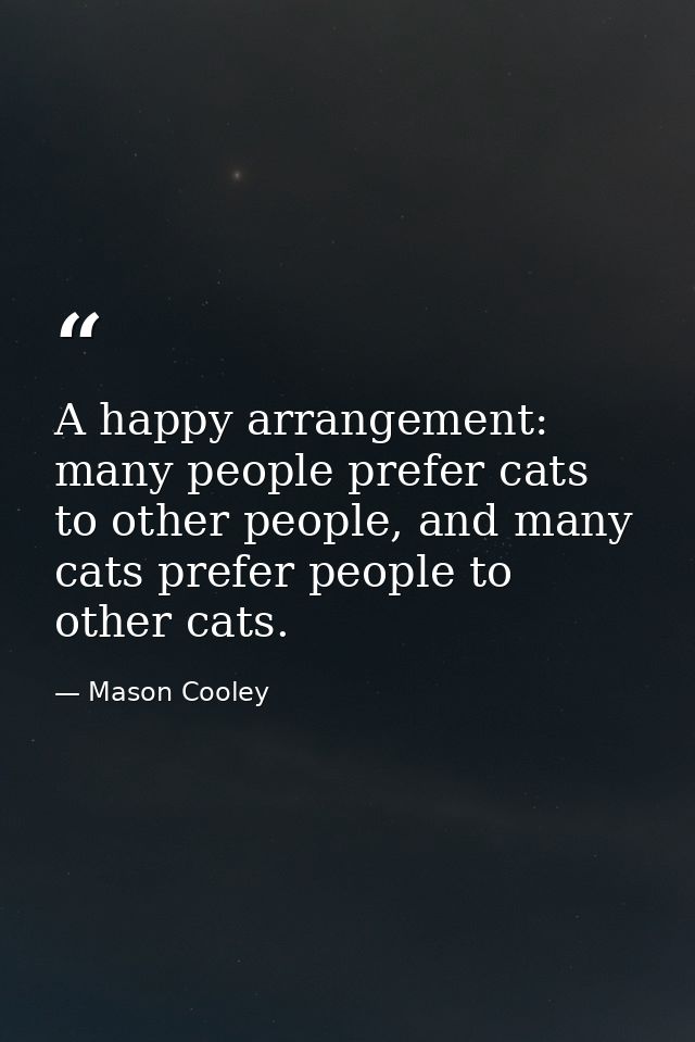 A happy arrangement: many people prefer cats to other people, and many cats prefer people to other cats. — Mason Cooley