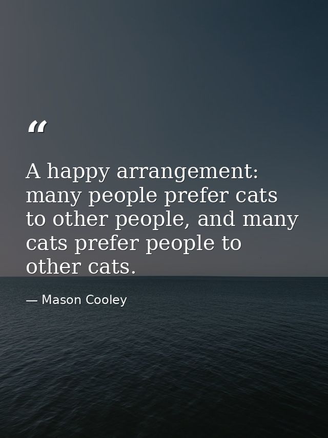 A happy arrangement: many people prefer cats to other people, and many cats prefer people to other cats. — Mason Cooley