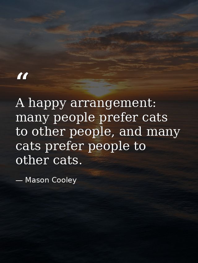 A happy arrangement: many people prefer cats to other people, and many cats prefer people to other cats. — Mason Cooley
