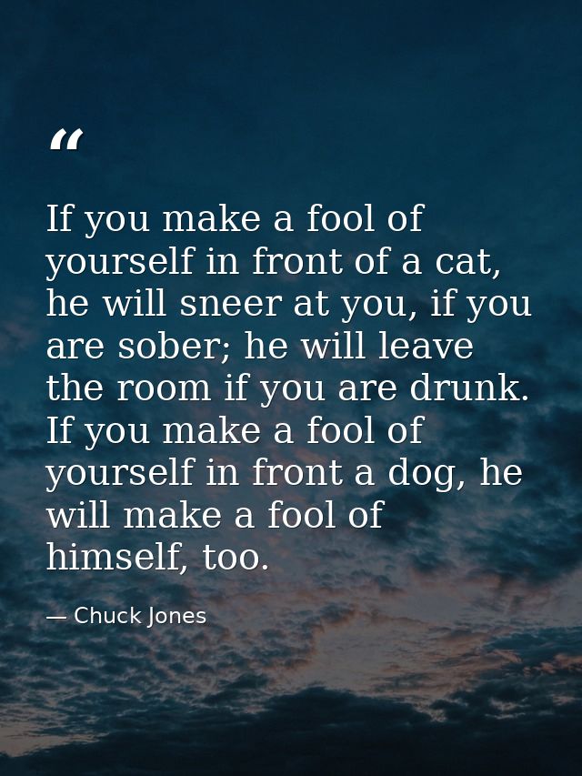 If you make a fool of yourself in front of a cat, he will sneer at you, if you are sober; he will leave the room if you  — Chuck Jones